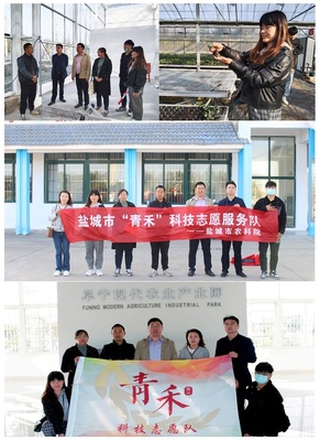 經作室赴阜寧新溝鎮開展“青禾”科技志愿服務活動，助力鹽城農業推廣服務