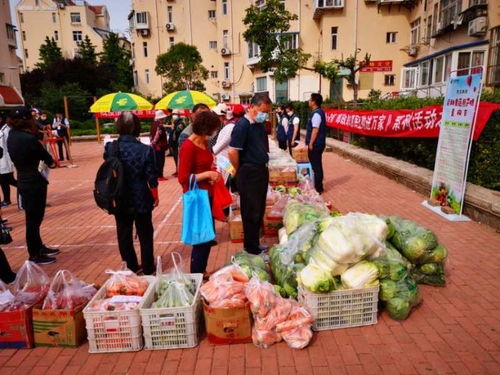 青島市南湛山社區 半小時售罄3000斤！新鮮蔬果進社區，助農惠企利民見實效