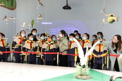 文博創(chuàng)新，IP出圈 看江蘇鹽城如何讓城市文化“活”起來